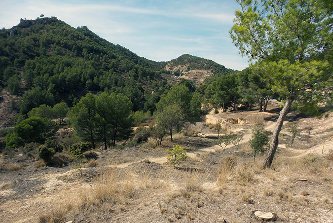 spanje